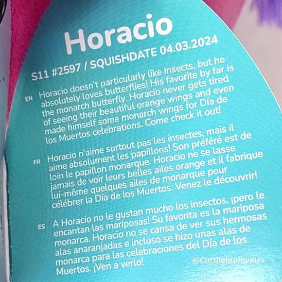 HORACIO 🐗 Pink DOTD Embroidered Warthog Original Squishmallows By Kellytoy NWT - Picture 4 of 8